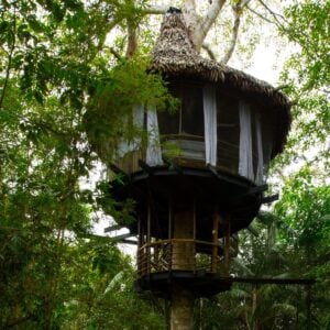 Treehouse Five–Bamboo House nestled in the jungle, featuring a charming thatched roof.
