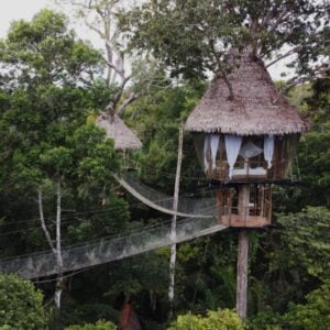 Treehouse Six - Casa Alta: A jungle tree house connected by a rope bridge.
