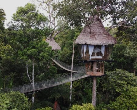 Treehouse Six - Casa Alta: A jungle tree house connected by a rope bridge.