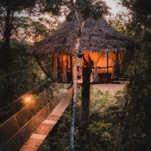 Treehouse Ten – Costa Bella: A beautiful treehouse nestled in Costa Bella. Surrounded by lush greenery and offering a peaceful retreat.