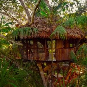 Treehouse Four - Casa Grande: Serene tree house in the jungle featuring a traditional thatched roof design.